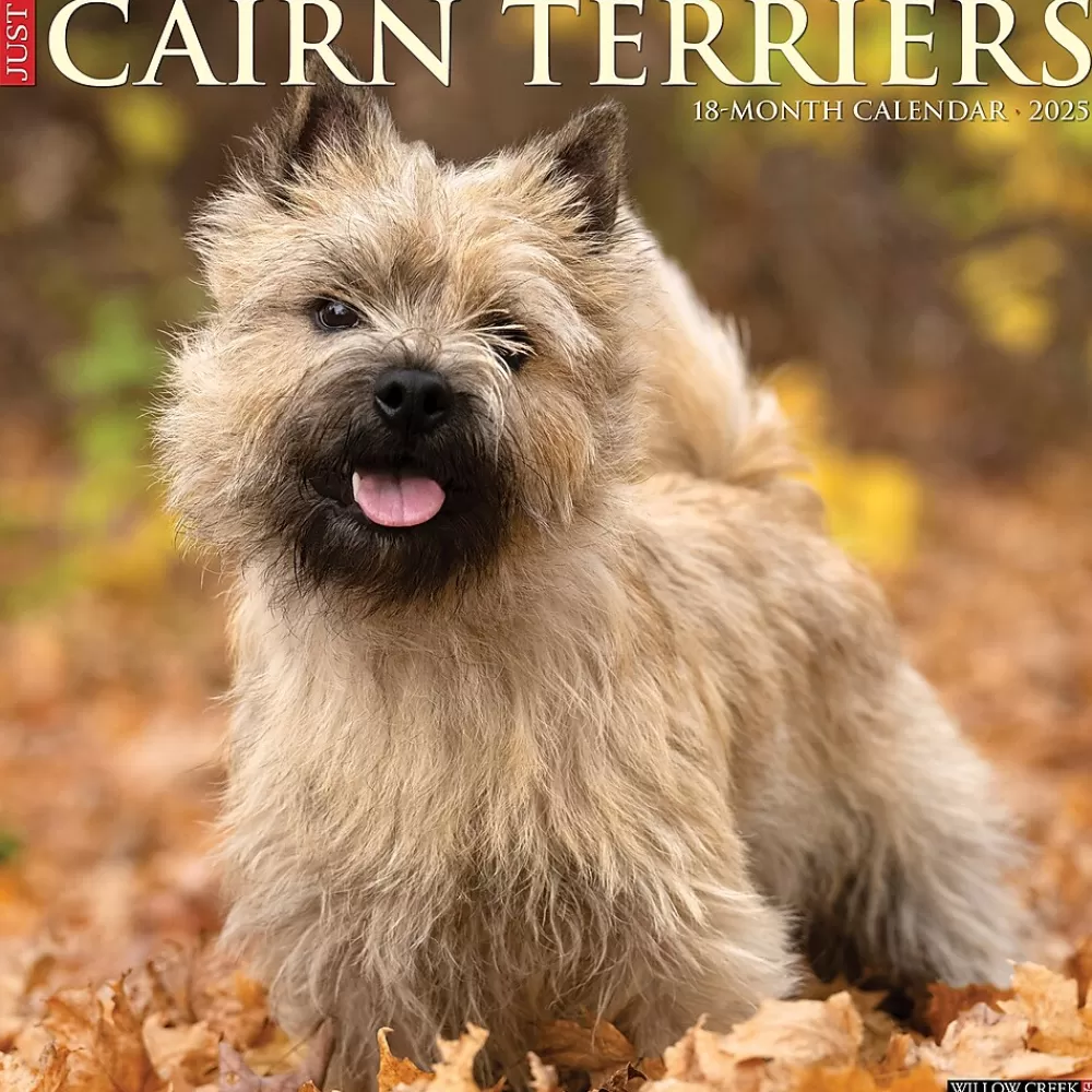 Willow Creek 2025 Calendars<2025 Just Cairn Terriers 12" x 12" Monthly Wall Calendar (42083)