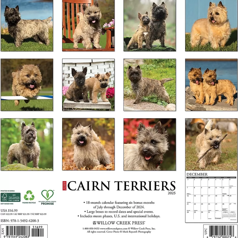 Willow Creek 2025 Calendars<2025 Just Cairn Terriers 12" x 12" Monthly Wall Calendar (42083)