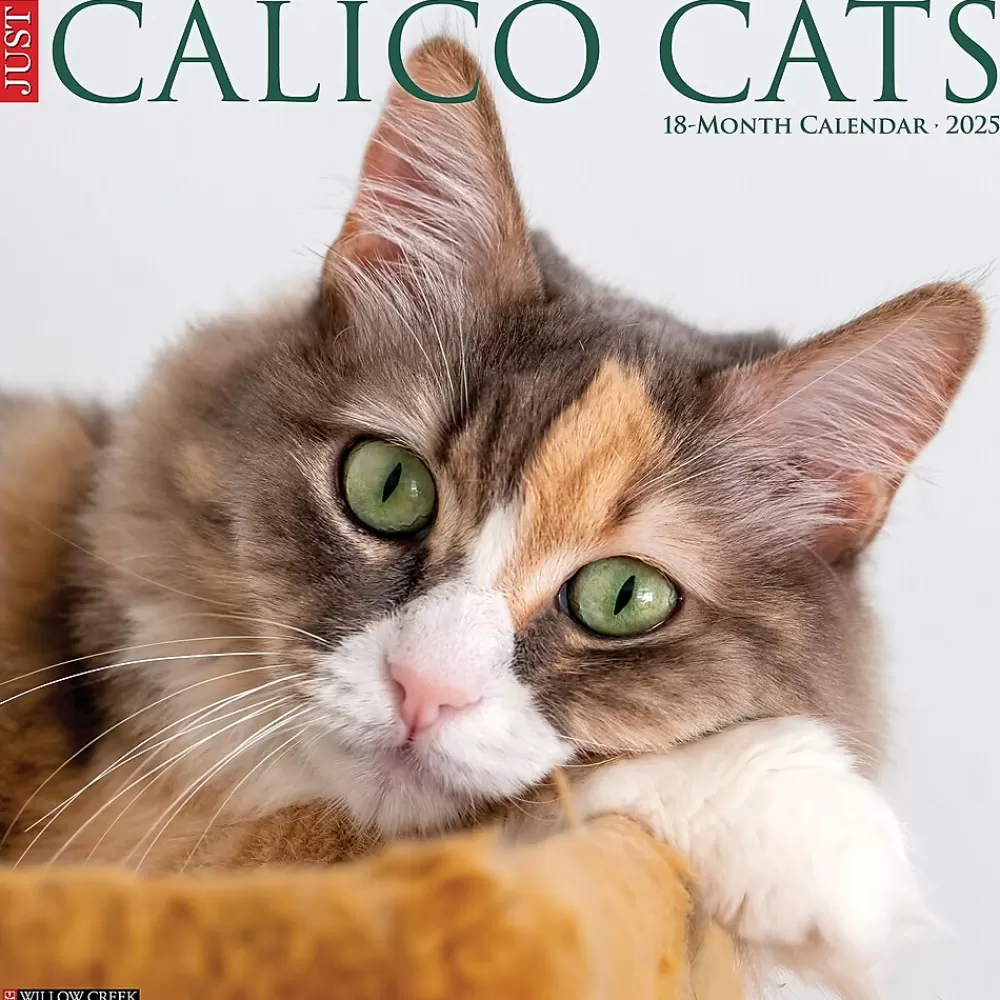 Willow Creek 2025 Calendars<2025 Just Calico Cats 12" x 12" Monthly Wall Calendar (42090)