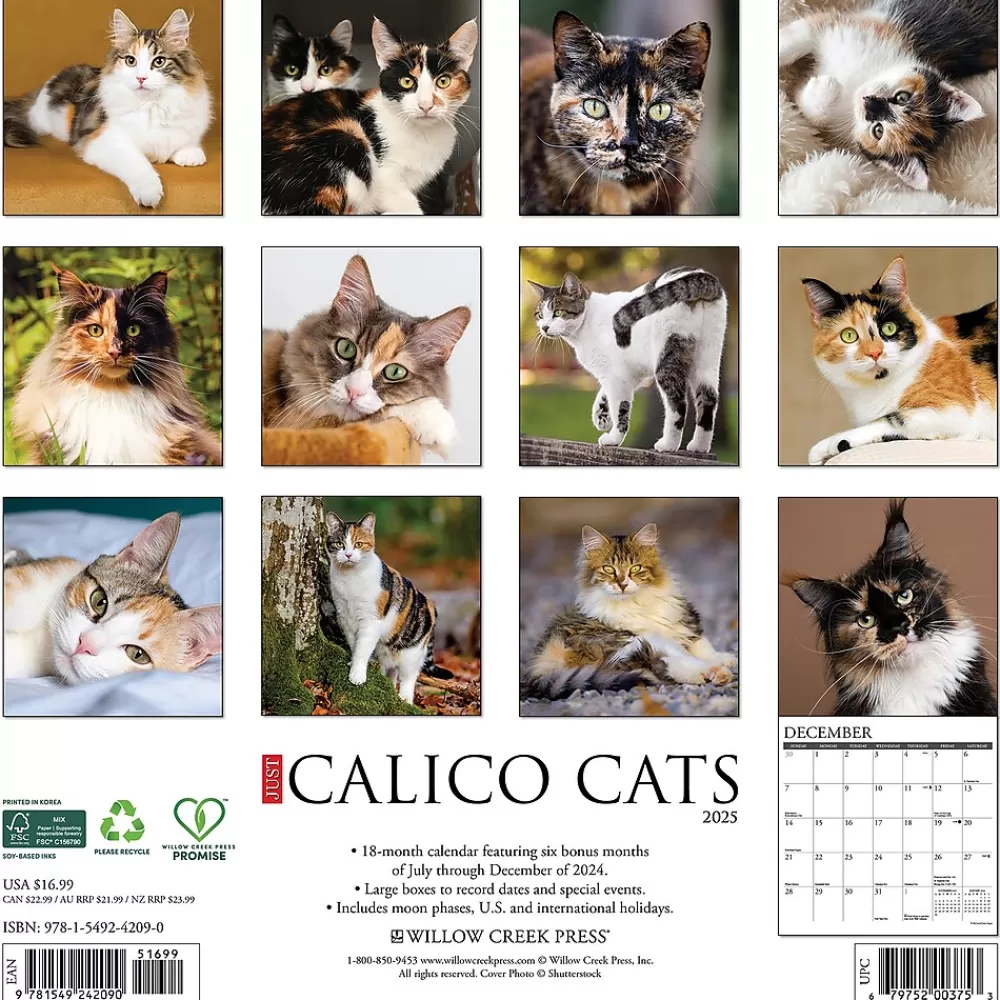 Willow Creek 2025 Calendars<2025 Just Calico Cats 12" x 12" Monthly Wall Calendar (42090)