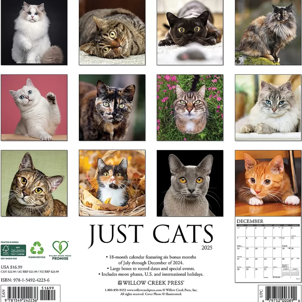 Willow Creek 2025 Calendars<2025 Just Cats 12" x 12" Monthly Wall Calendar (42236)