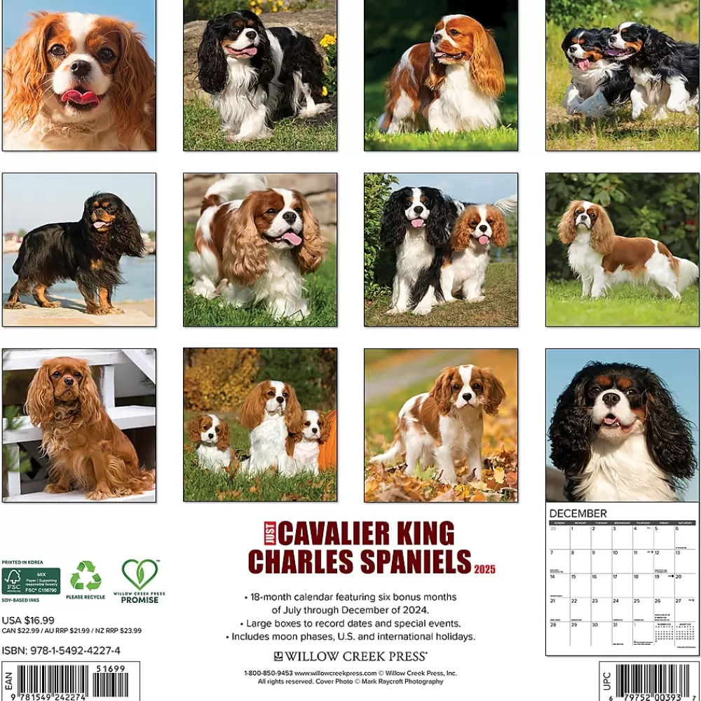 Willow Creek 2025 Calendars<2025 Just Cavalier King Charles Spaniels 12" x 12" Monthly Wall Calendar (42274)