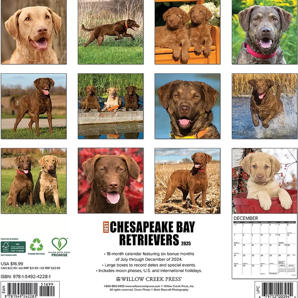 Willow Creek 2025 Calendars<2025 Just Chesapeake Bay Retrievers 12" x 12" Monthly Wall Calendar (42281)