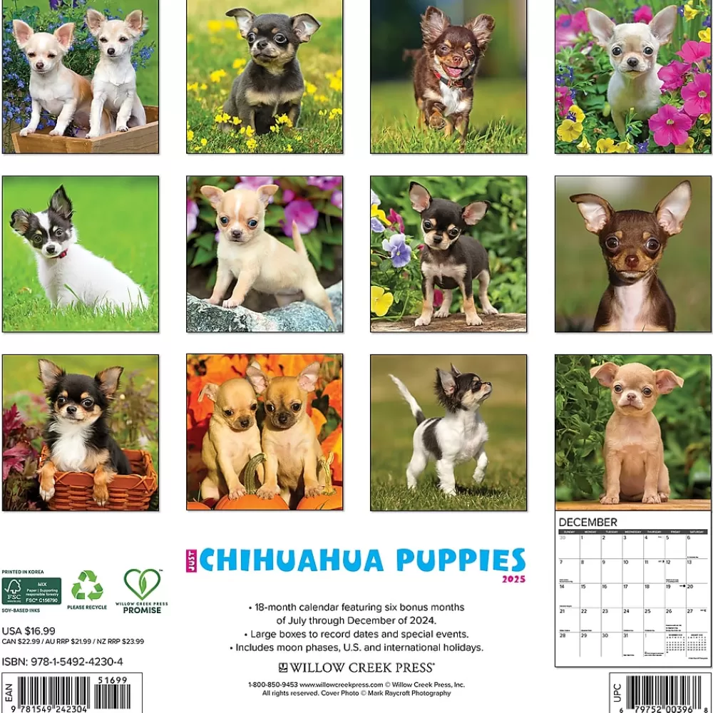 Willow Creek 2025 Calendars<2025 Just Chihuahua Puppies 12" x 12" Monthly Wall Calendar (42304)