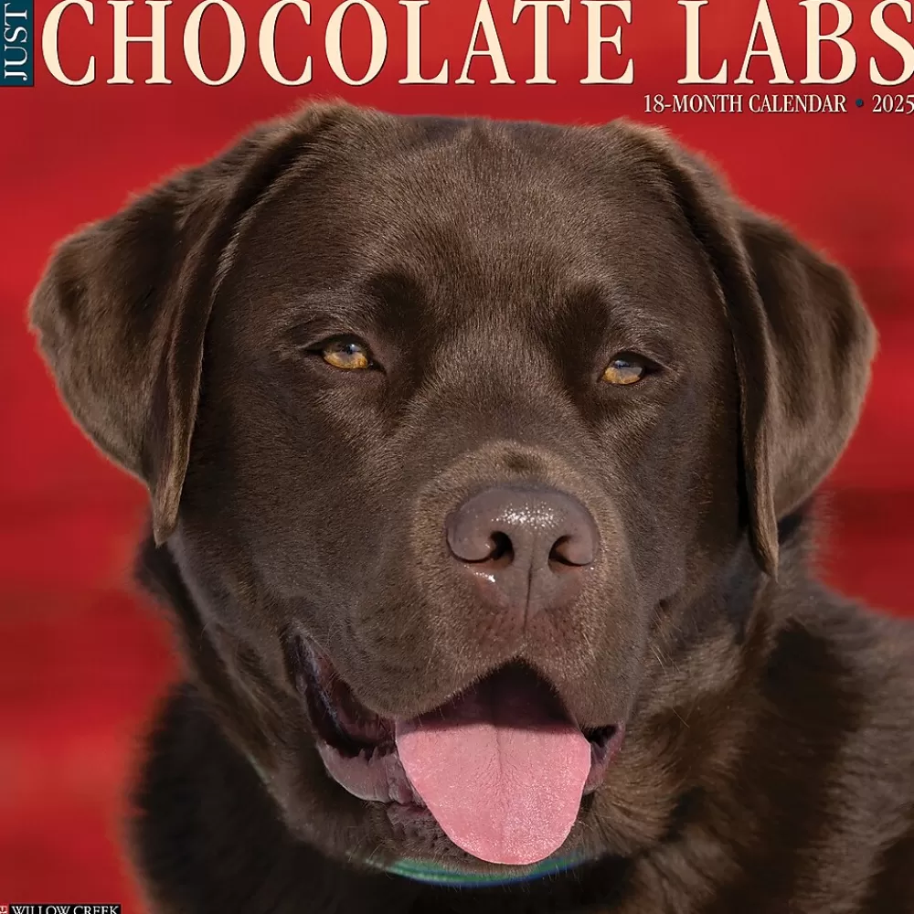 Willow Creek 2025 Calendars<2025 Just Chocolate Labs 12" x 12" Monthly Wall Calendar (42359)