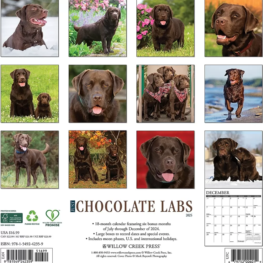 Willow Creek 2025 Calendars<2025 Just Chocolate Labs 12" x 12" Monthly Wall Calendar (42359)