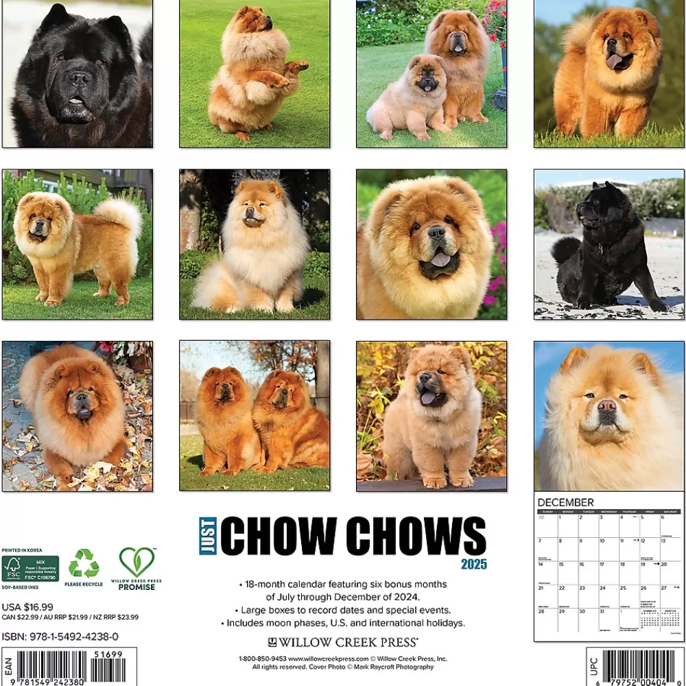 Willow Creek 2025 Calendars<2025 Just Chow Chows 12" x 12" Monthly Wall Calendar (42380)