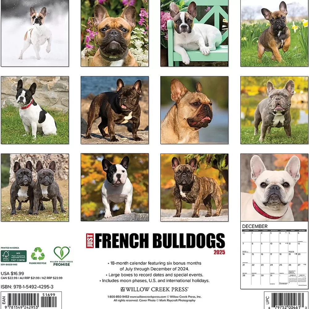 Willow Creek 2025 Calendars<2025 Just French Bulldogs 12" x 12" Monthly Wall Calendar (42953)