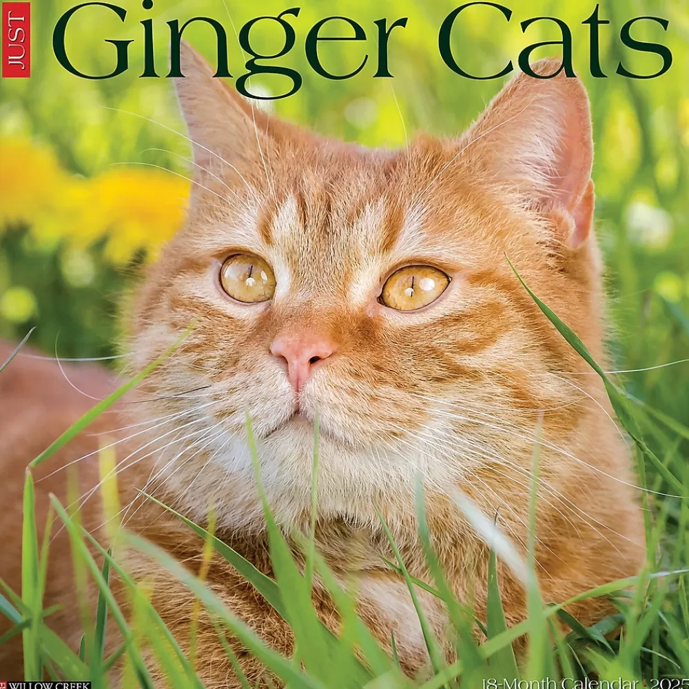 Willow Creek 2025 Calendars<2025 Just Ginger Cats 12" x 12" Monthly Wall Calendar (43059)