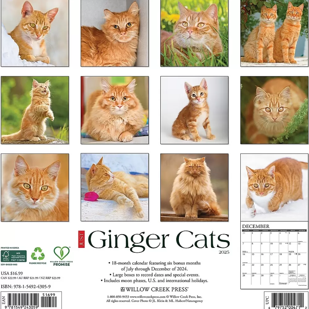 Willow Creek 2025 Calendars<2025 Just Ginger Cats 12" x 12" Monthly Wall Calendar (43059)