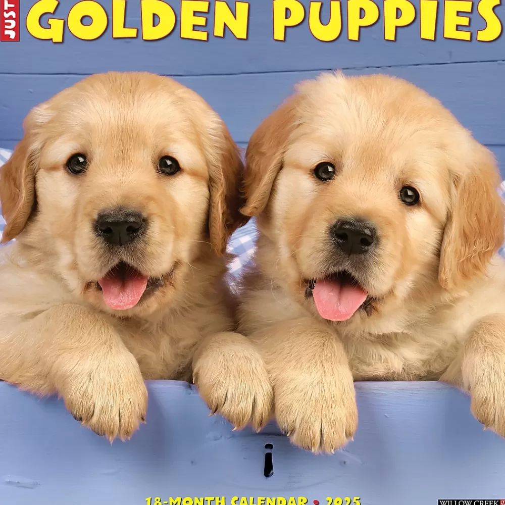 Willow Creek 2025 Calendars<2025 Just Golden Puppies 12" x 12" Monthly Wall Calendar (43097)