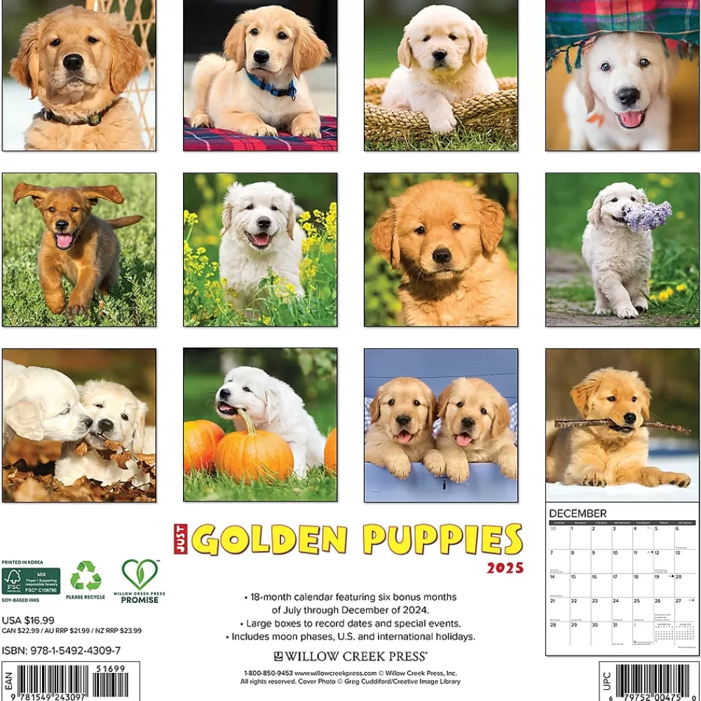 Willow Creek 2025 Calendars<2025 Just Golden Puppies 12" x 12" Monthly Wall Calendar (43097)