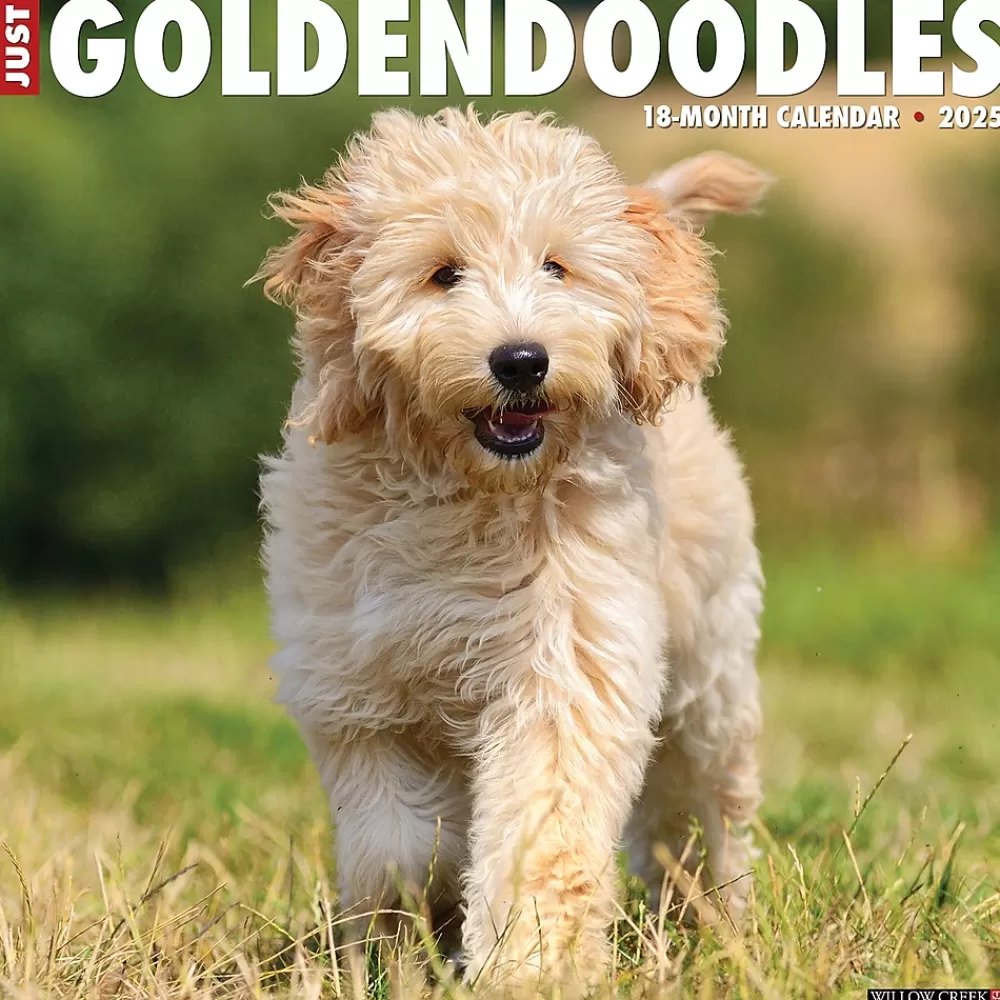 Willow Creek 2025 Calendars<2025 Just Goldendoodles 12" x 12" Monthly Wall Calendar (43127)