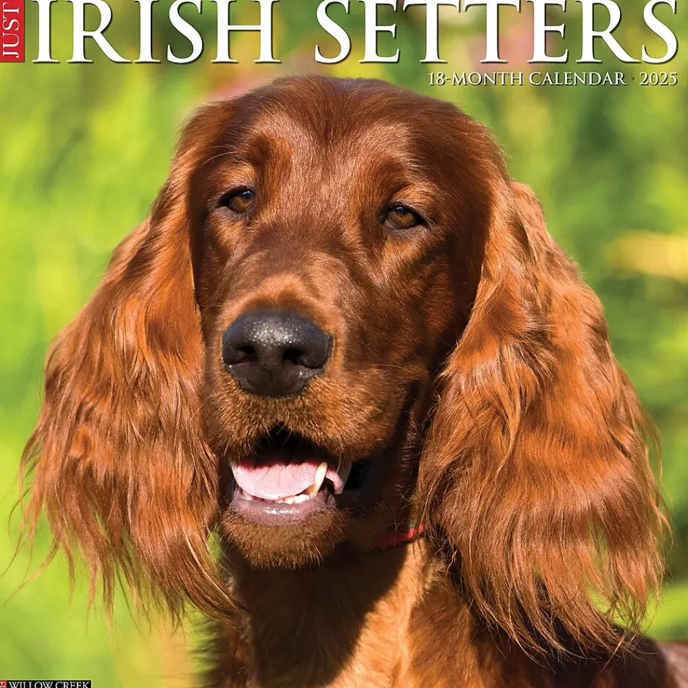 Willow Creek 2025 Calendars<2025 Just Irish Setters 12" x 12" Monthly Wall Calendar (43523)