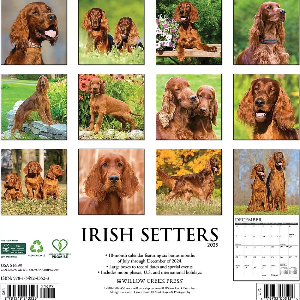 Willow Creek 2025 Calendars<2025 Just Irish Setters 12" x 12" Monthly Wall Calendar (43523)