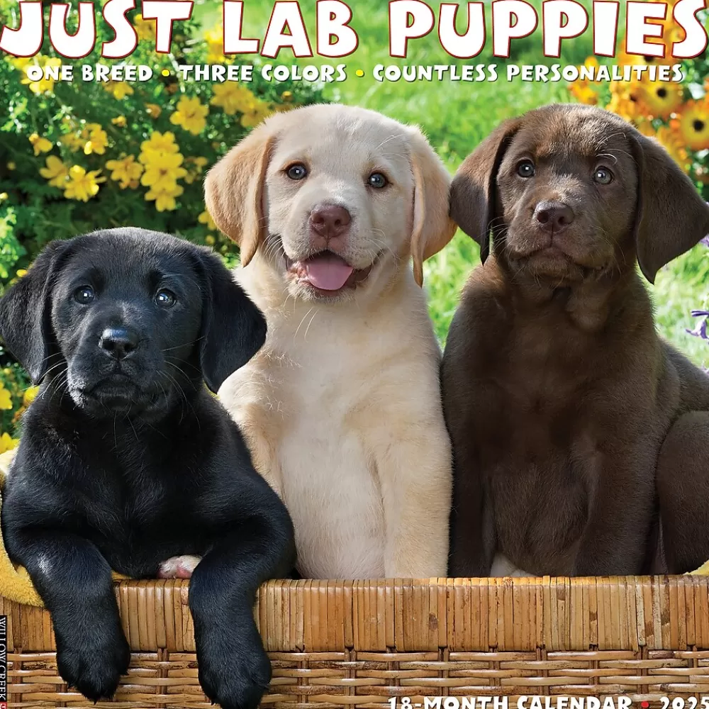 Willow Creek 2025 Calendars<2025 Just Lab Puppies 12" x 12" Monthly Wall Calendar (43653)