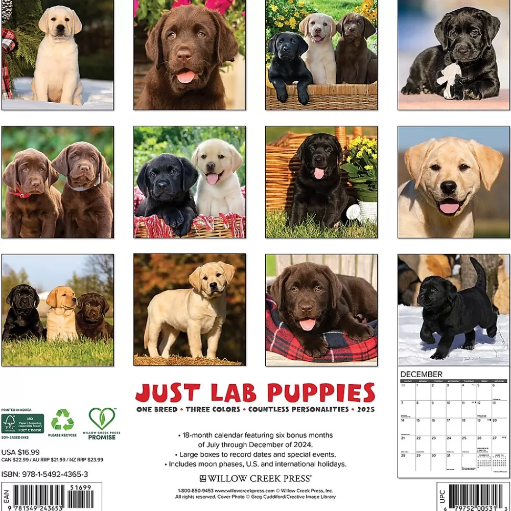 Willow Creek 2025 Calendars<2025 Just Lab Puppies 12" x 12" Monthly Wall Calendar (43653)