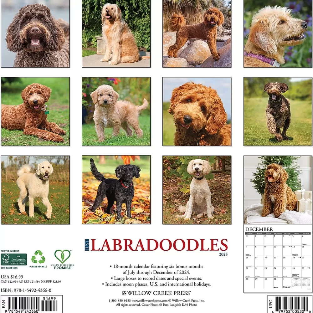 Willow Creek 2025 Calendars<2025 Just Labradoodles 12" x 12" Monthly Wall Calendar (43660)