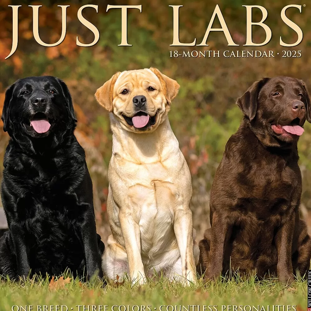 Willow Creek 2025 Calendars<2025 Just Labs 12" x 12" Monthly Wall Calendar (43677)