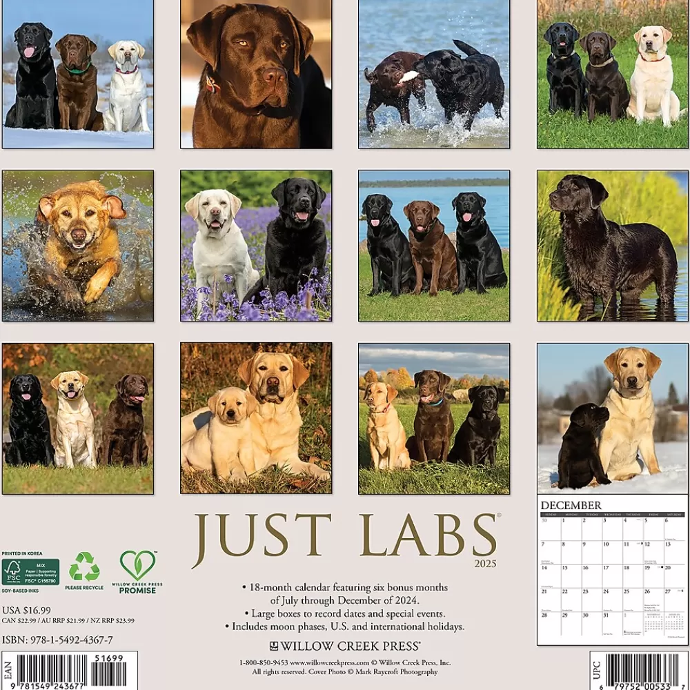 Willow Creek 2025 Calendars<2025 Just Labs 12" x 12" Monthly Wall Calendar (43677)