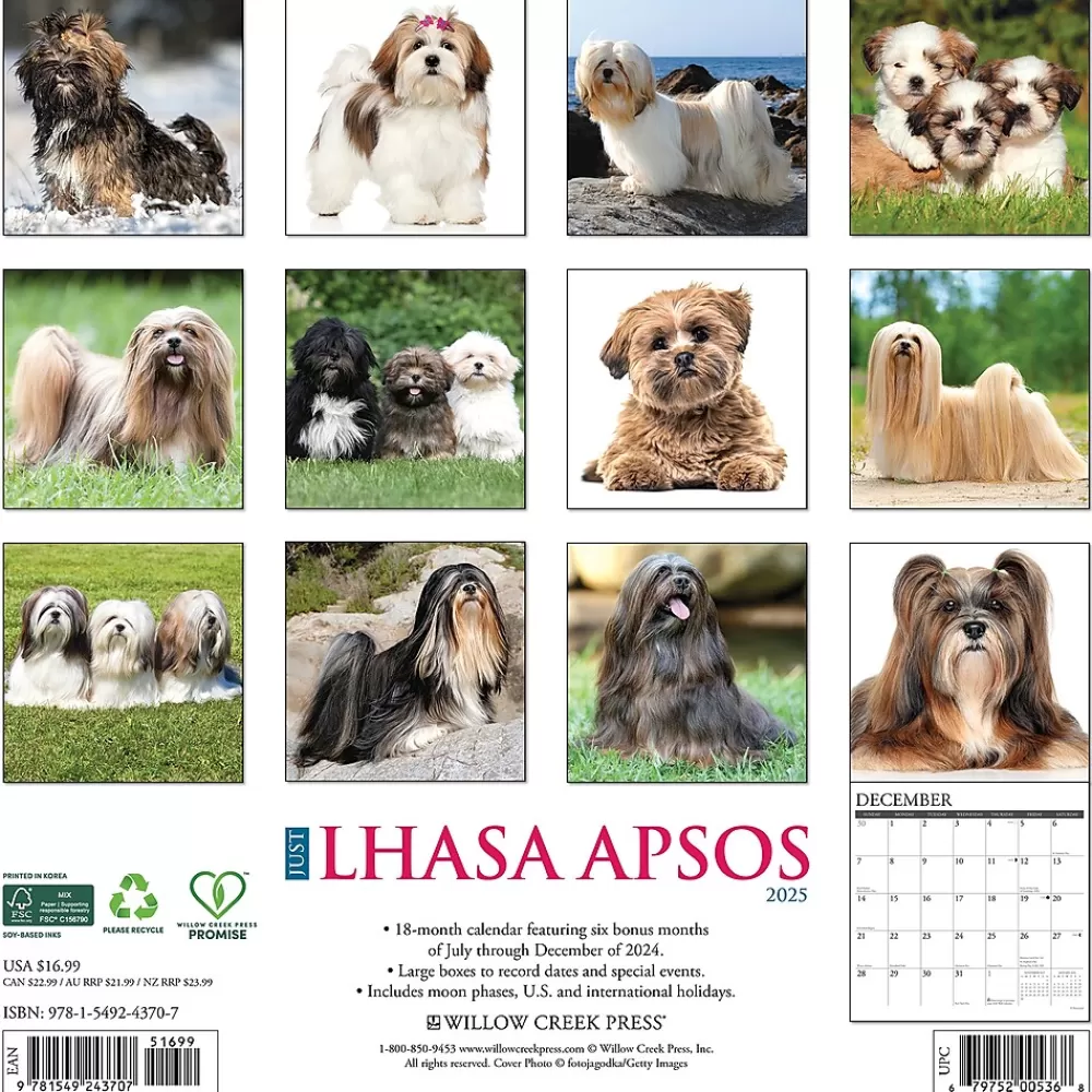 Willow Creek 2025 Calendars<2025 Just Lhasa Apsos 12" x 12" Monthly Wall Calendar (43707)