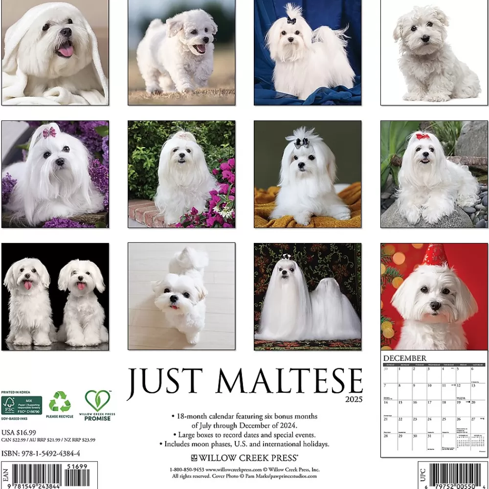 Willow Creek 2025 Calendars<2025 Just Maltese 12" x 12" Monthly Wall Calendar (43844)