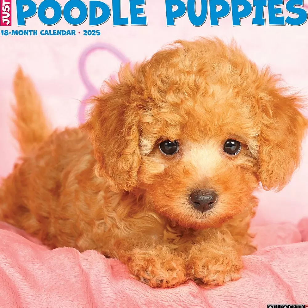 Willow Creek 2025 Calendars<2025 Just Poodle Puppies 12" x 12" Monthly Wall Calendar (44513)