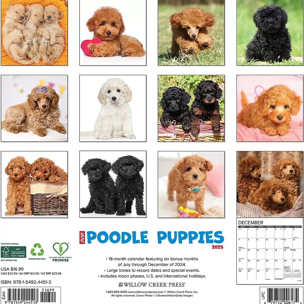 Willow Creek 2025 Calendars<2025 Just Poodle Puppies 12" x 12" Monthly Wall Calendar (44513)