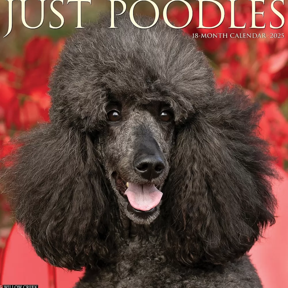 Willow Creek 2025 Calendars<2025 Just Poodles 12" x 12" Monthly Wall Calendar (44520)