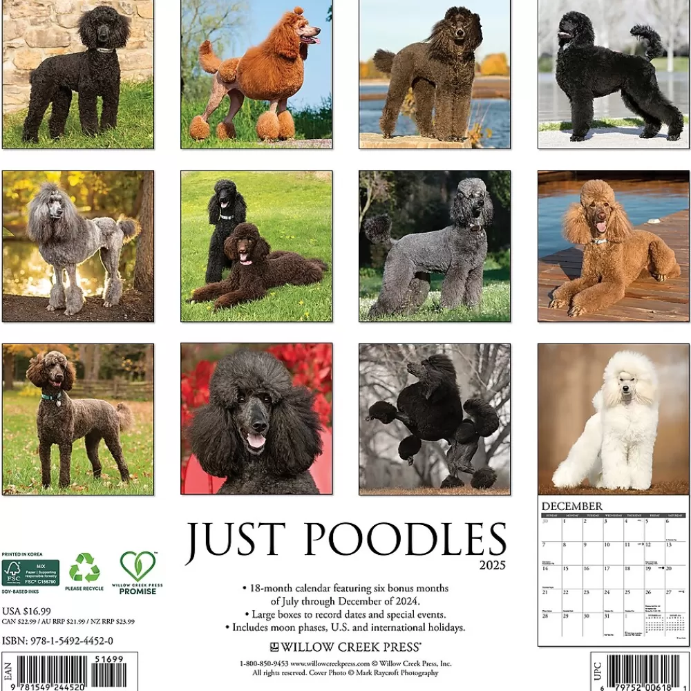 Willow Creek 2025 Calendars<2025 Just Poodles 12" x 12" Monthly Wall Calendar (44520)