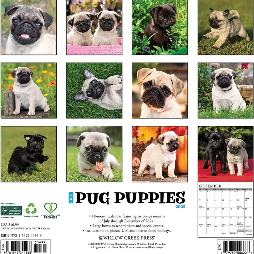 Willow Creek 2025 Calendars<2025 Just Pug Puppies 12" x 12" Monthly Wall Calendar (44568)