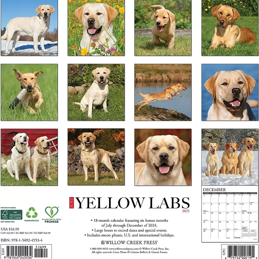 Willow Creek 2025 Calendars<2025 Just Yellow Labs 12" x 12" Monthly Wall Calendar (45534)