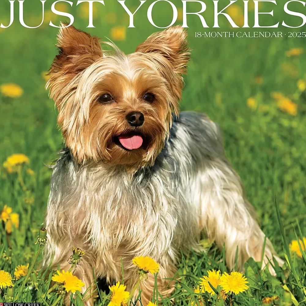 Willow Creek 2025 Calendars<2025 Just Yorkies 12" x 12" Monthly Wall Calendar (45558)