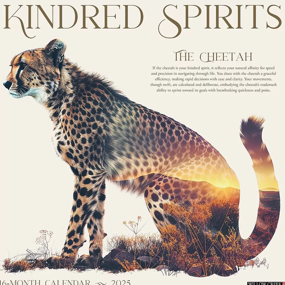 Willow Creek 2025 Calendars<2025 Kindred Spirits 12" x 12" Monthly Wall Calendar (48320)