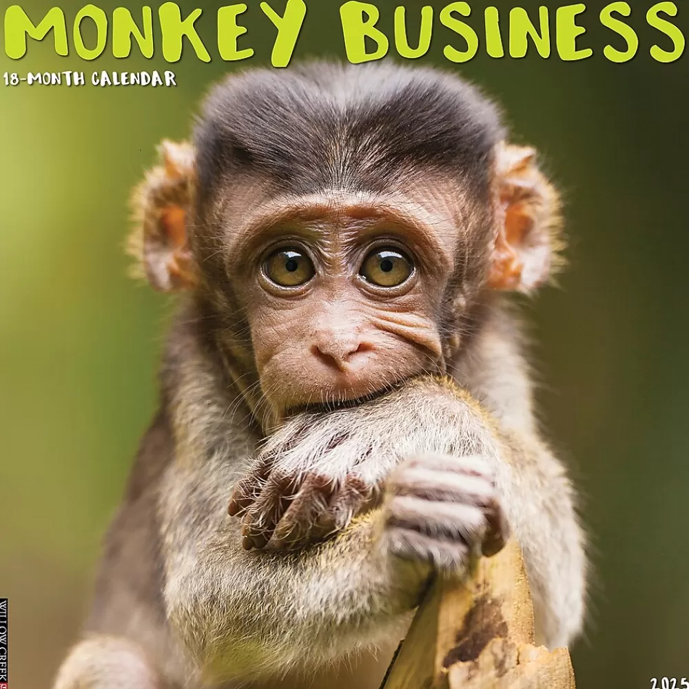 Willow Creek 2025 Calendars<2025 Monkey Business 12" x 12" Monthly Wall Calendar (44001)