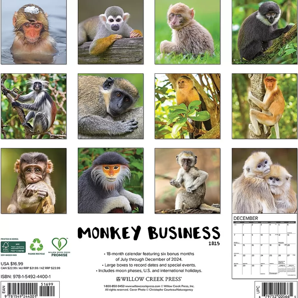 Willow Creek 2025 Calendars<2025 Monkey Business 12" x 12" Monthly Wall Calendar (44001)