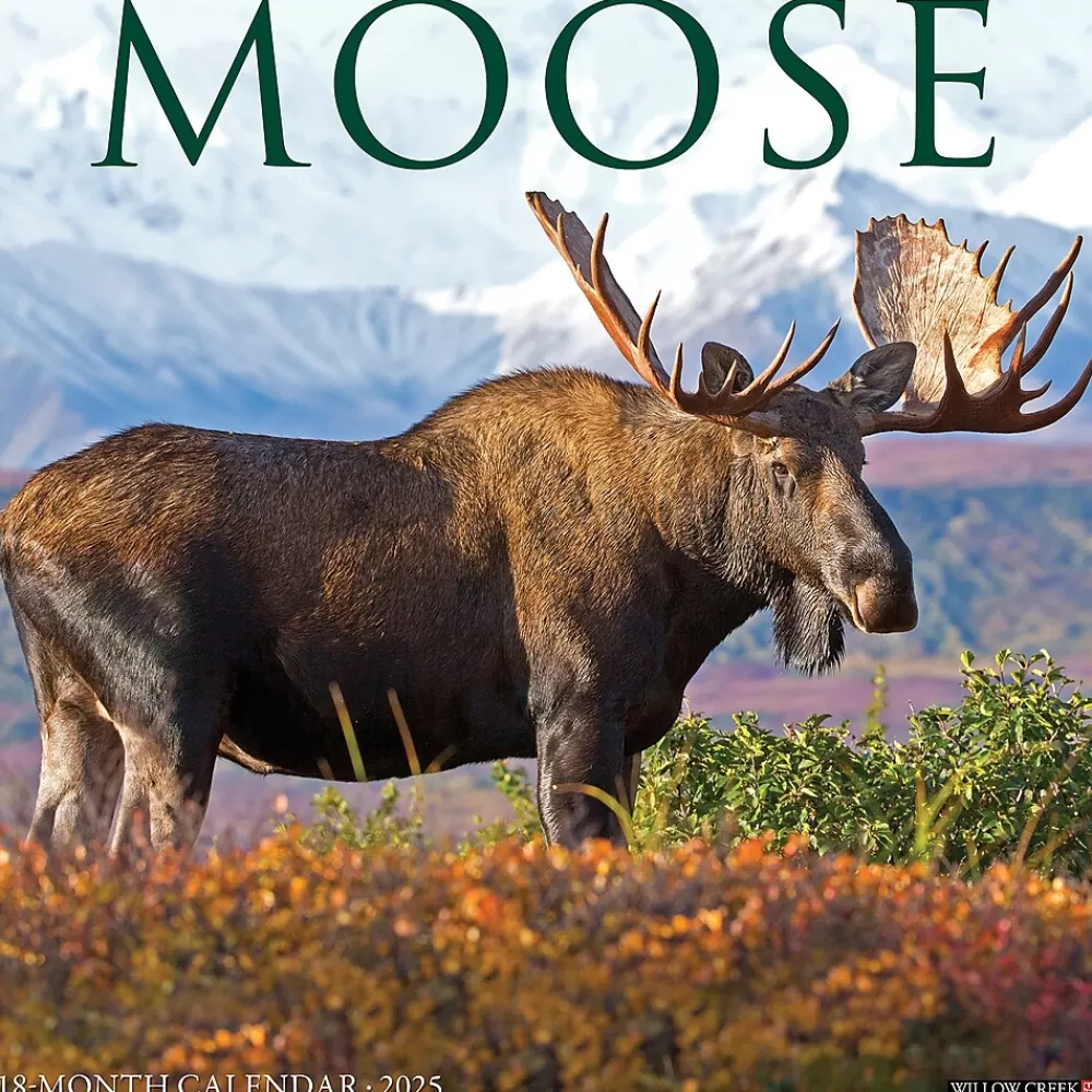 Willow Creek 2025 Calendars<2025 Moose 12" x 12" Monthly Wall Calendar (44032)