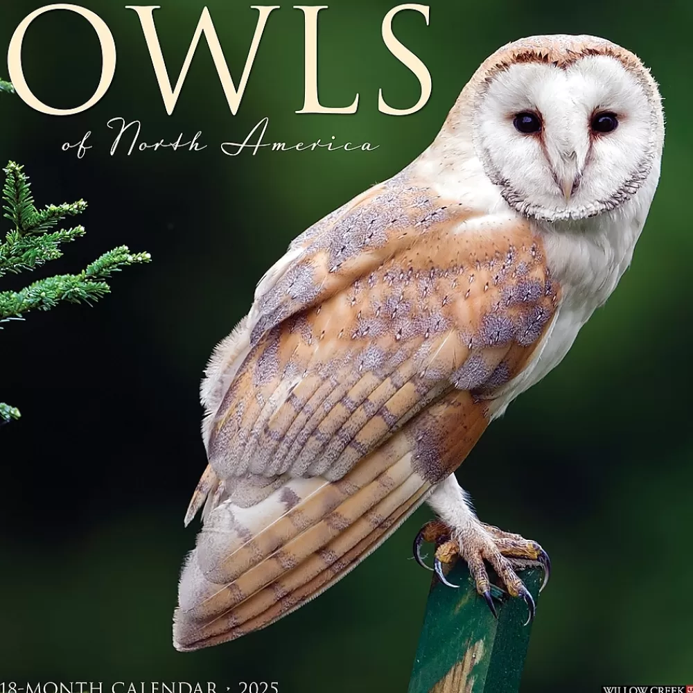 Willow Creek 2025 Calendars<2025 Owls 12" x 12" Monthly Wall Calendar (44315)