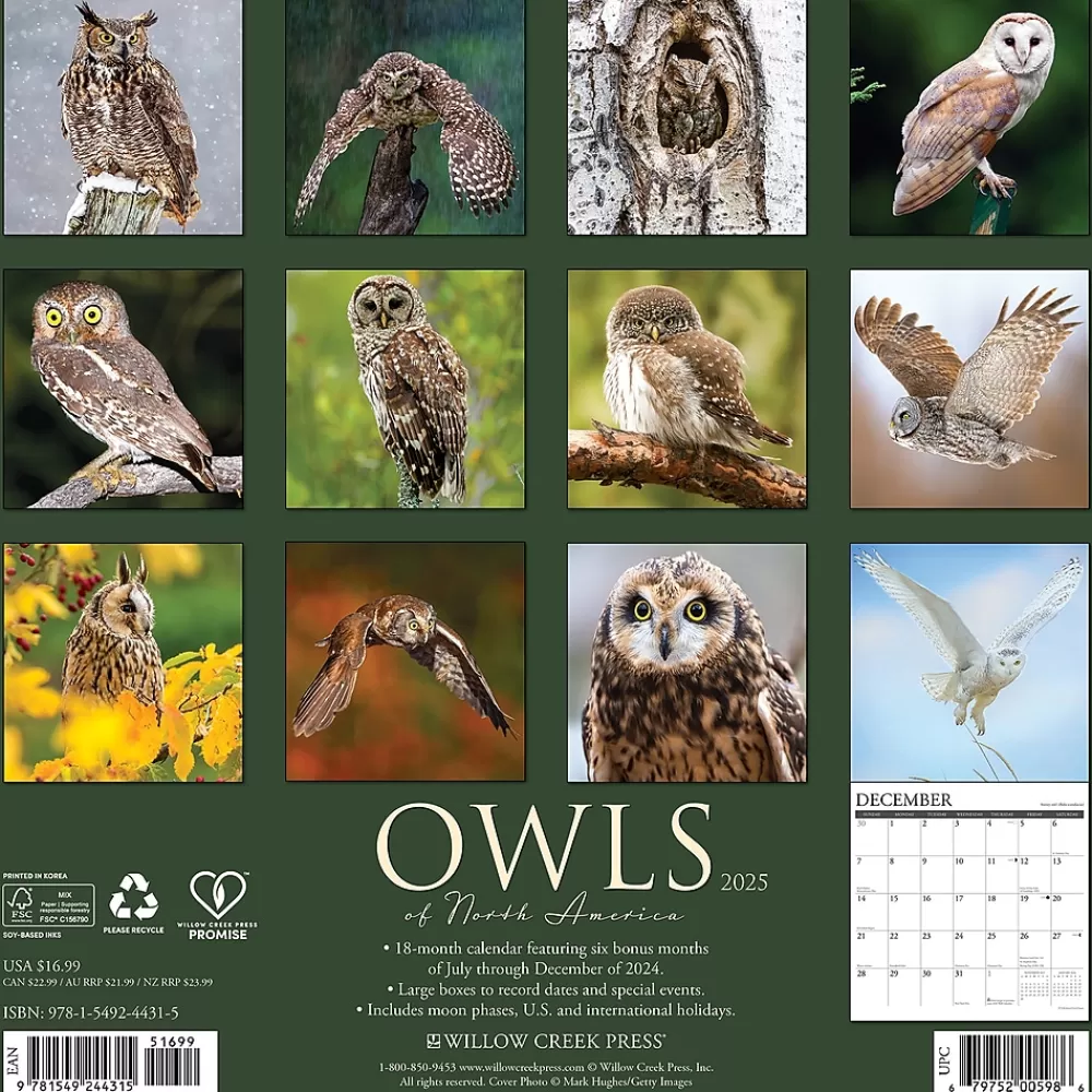 Willow Creek 2025 Calendars<2025 Owls 12" x 12" Monthly Wall Calendar (44315)