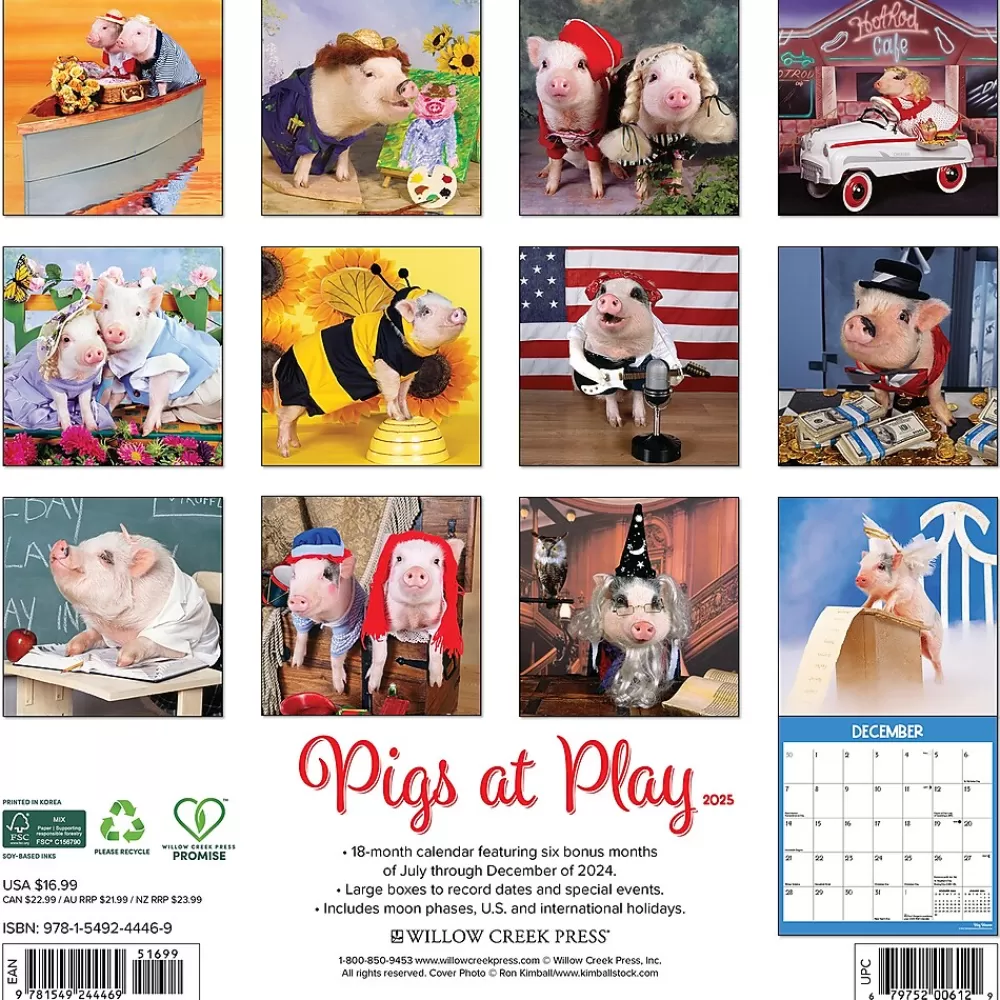 Willow Creek 2025 Calendars<2025 Pigs at Play 12" x 12" Monthly Wall Calendar (44469)