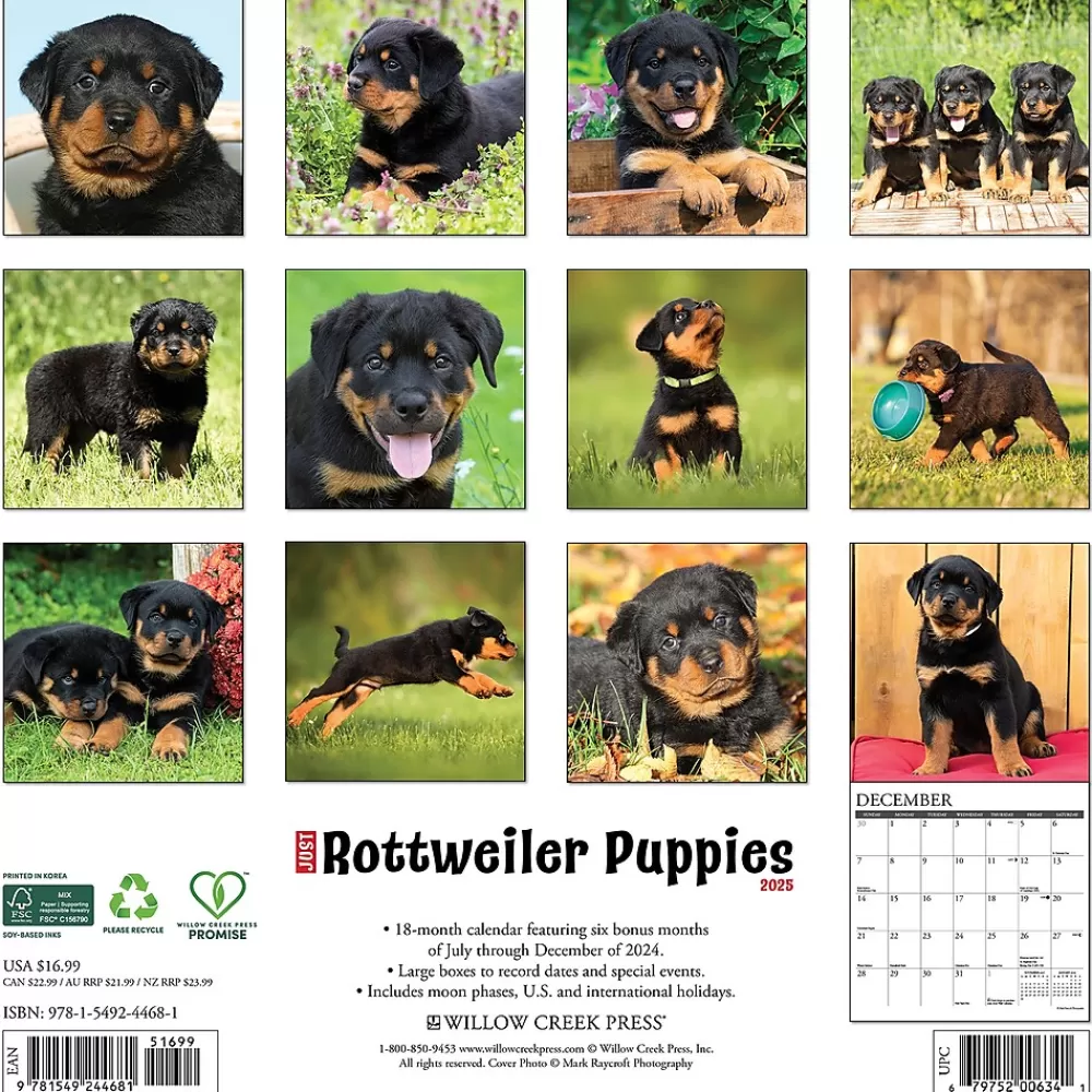 Willow Creek 2025 Calendars<2025 Press Just Rottweiler Puppies 2025 Wall Calendar 12" x 12" (44681)