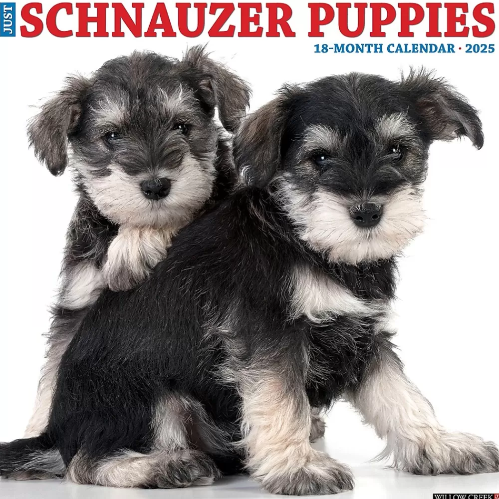 Willow Creek 2025 Calendars<2025 Schnauzer Puppies 12" x 12" Yearly Wall Calendar (44759)