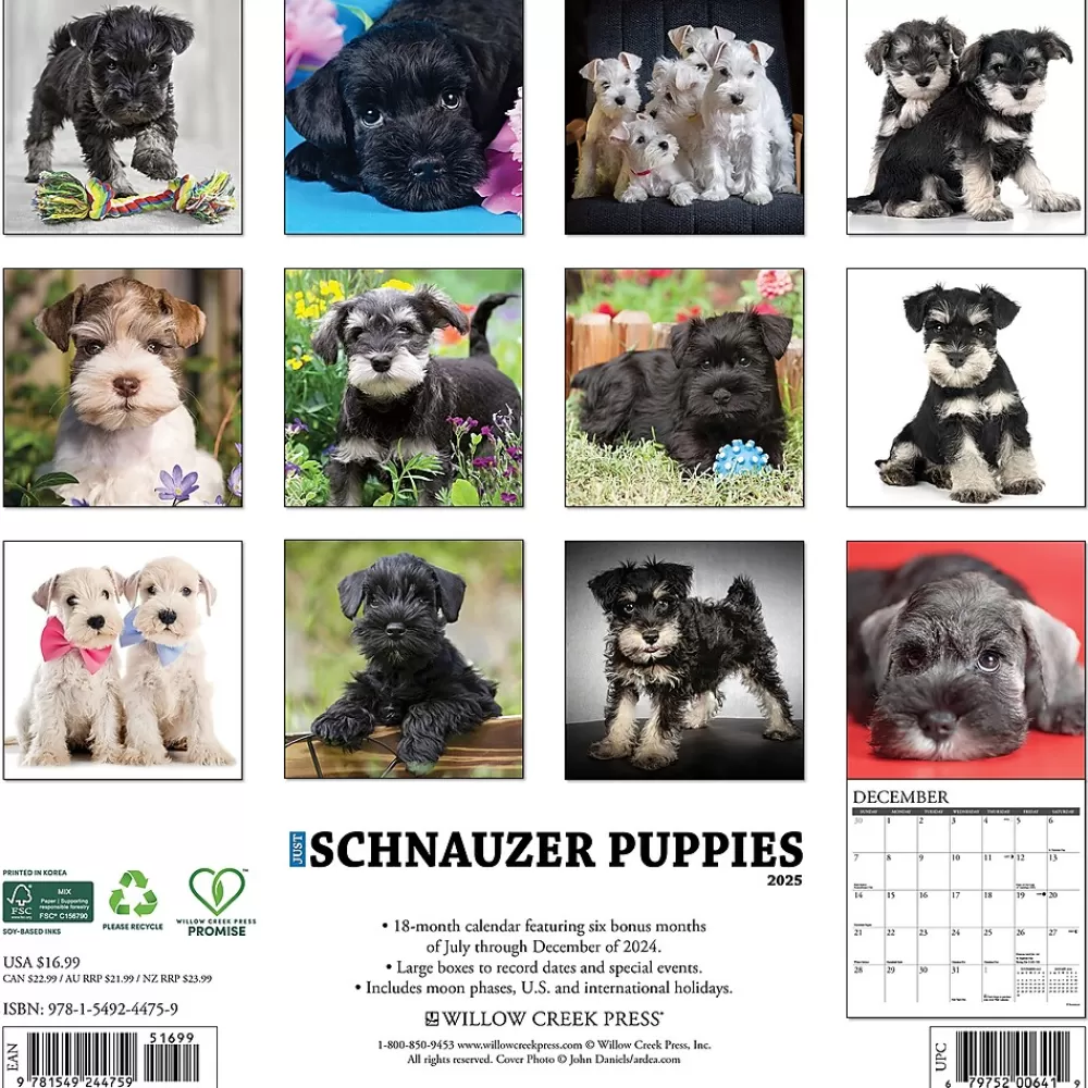 Willow Creek 2025 Calendars<2025 Schnauzer Puppies 12" x 12" Yearly Wall Calendar (44759)