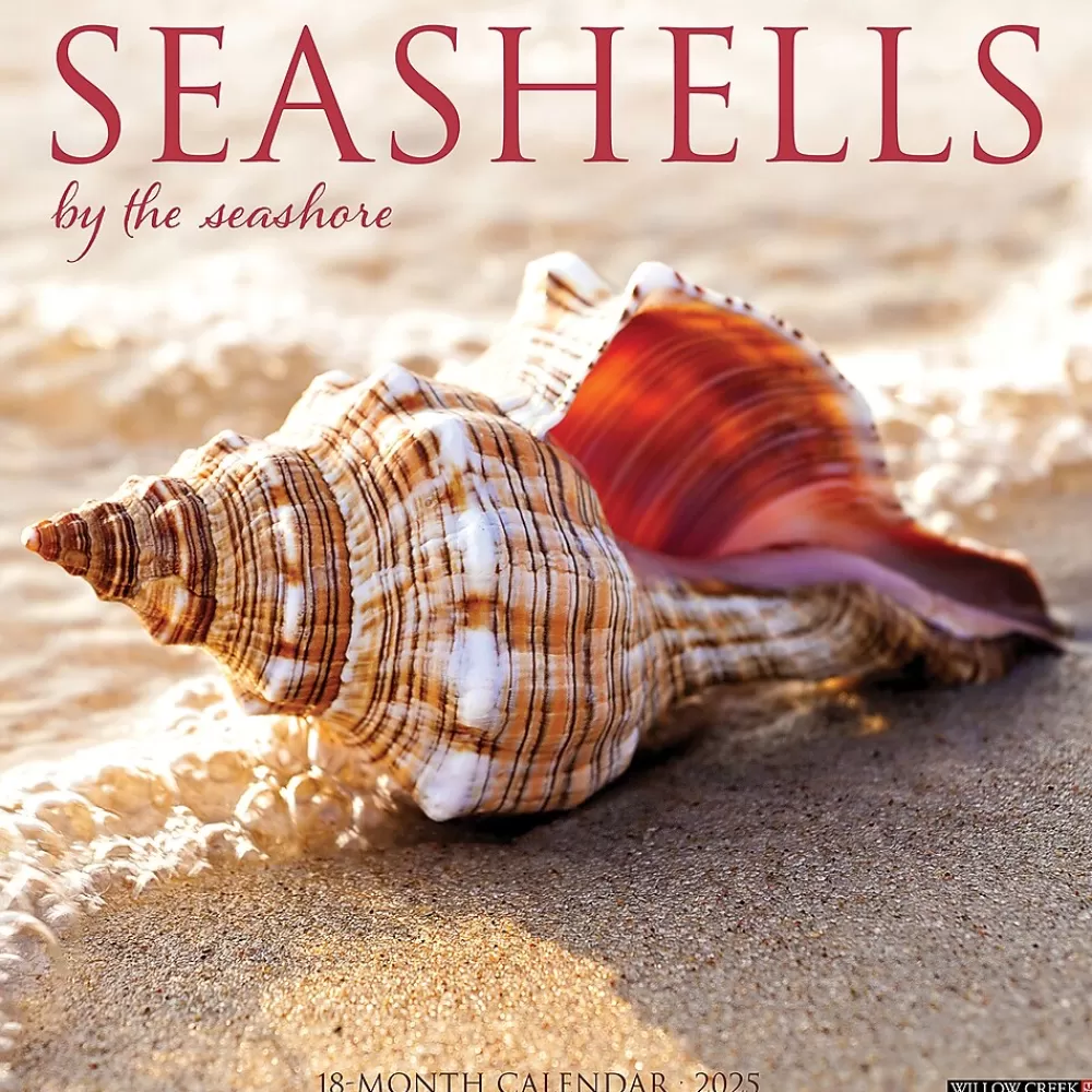 Willow Creek 2025 Calendars<2025 Seashells 12" x 12" Monthly Wall Calendar (44797)