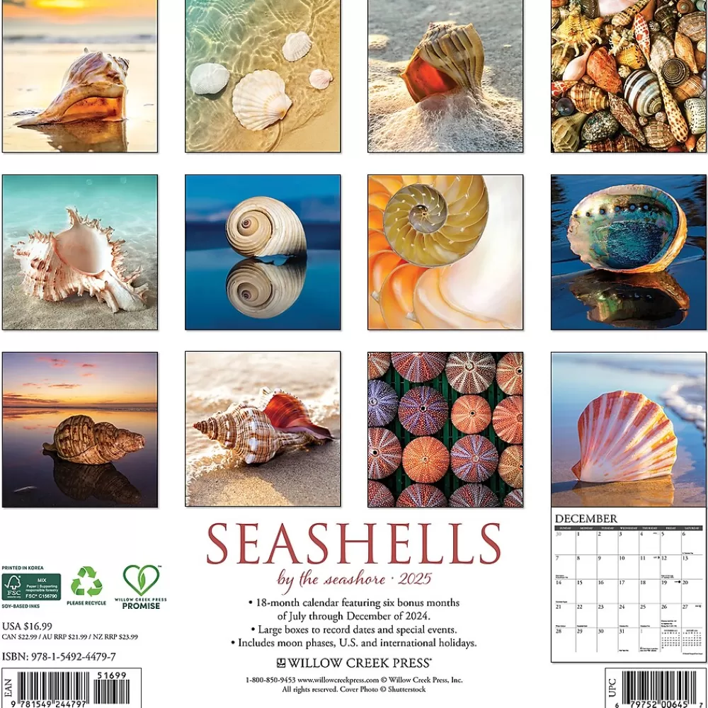 Willow Creek 2025 Calendars<2025 Seashells 12" x 12" Monthly Wall Calendar (44797)