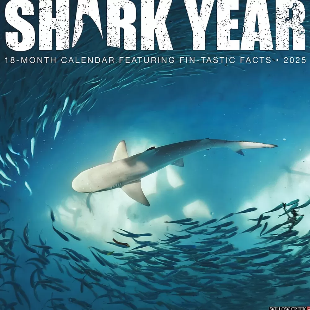 Willow Creek 2025 Calendars<2025 Shark Year 12" x 12" Monthly Wall Calendar (46609)