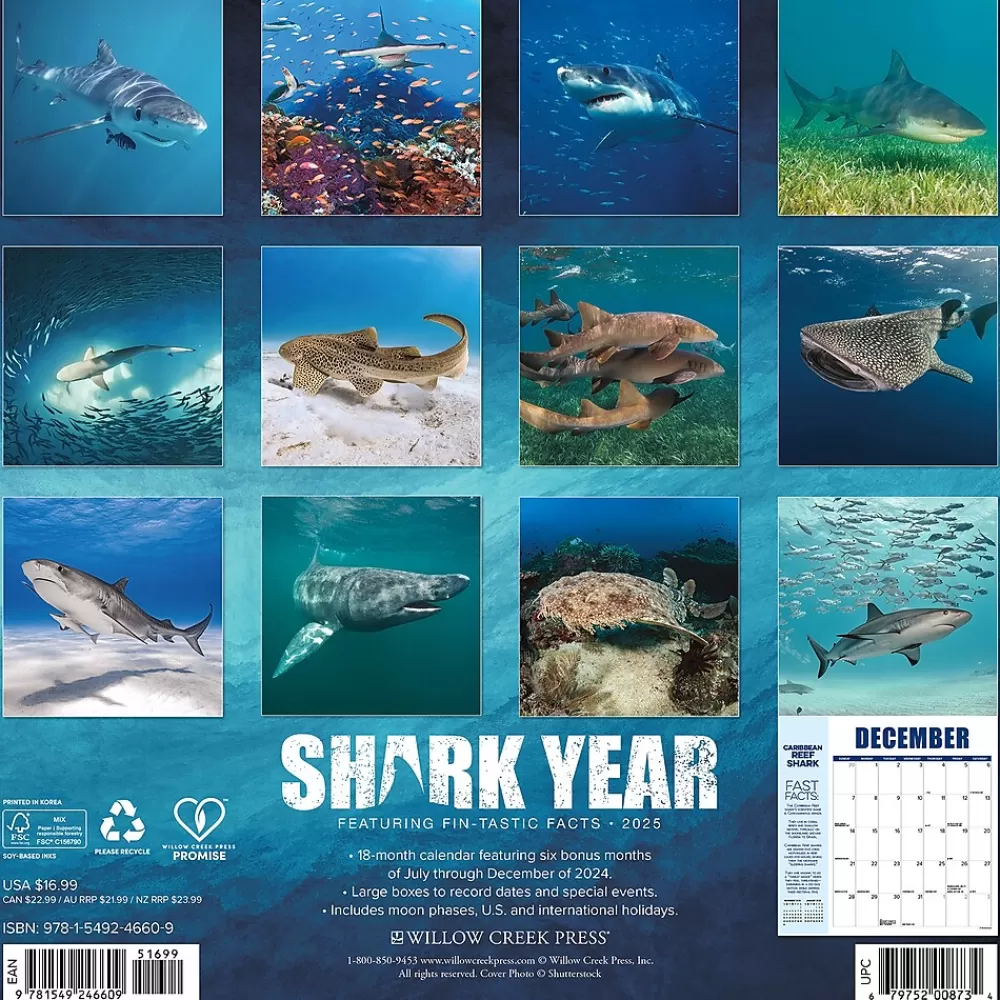 Willow Creek 2025 Calendars<2025 Shark Year 12" x 12" Monthly Wall Calendar (46609)