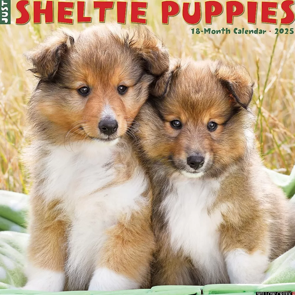 Willow Creek 2025 Calendars<2025 Sheltie Puppies 12" x 12" Monthly Wall Calendar (44834)