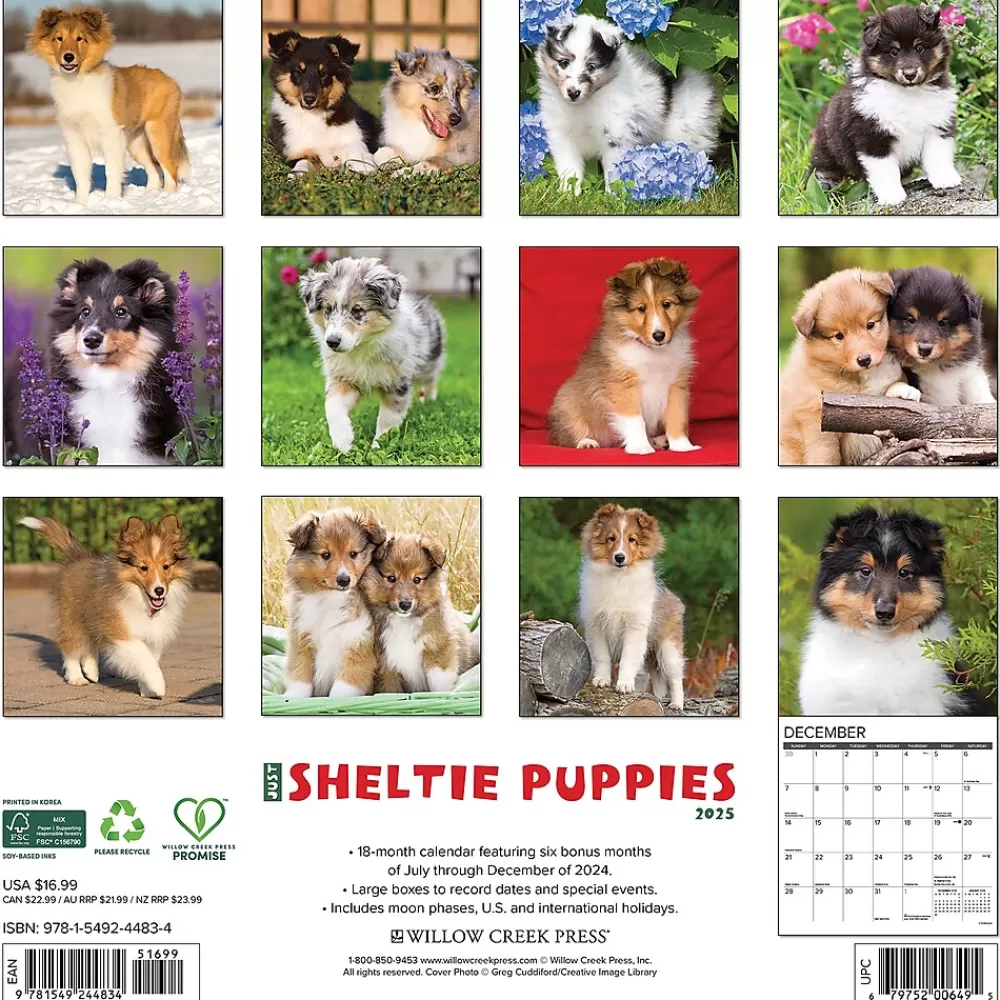 Willow Creek 2025 Calendars<2025 Sheltie Puppies 12" x 12" Monthly Wall Calendar (44834)