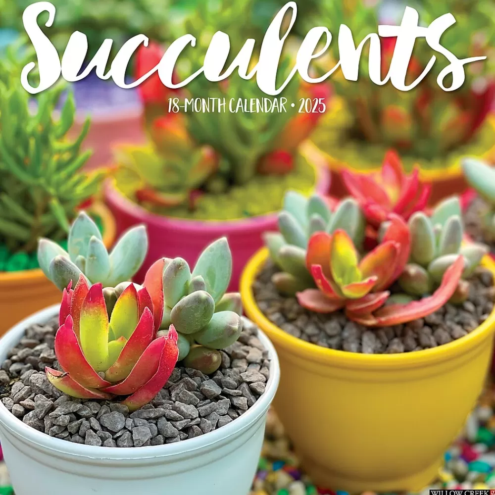 Willow Creek 2025 Calendars<2025 Succulents 12" x 12" Monthly Wall Calendar (45022)